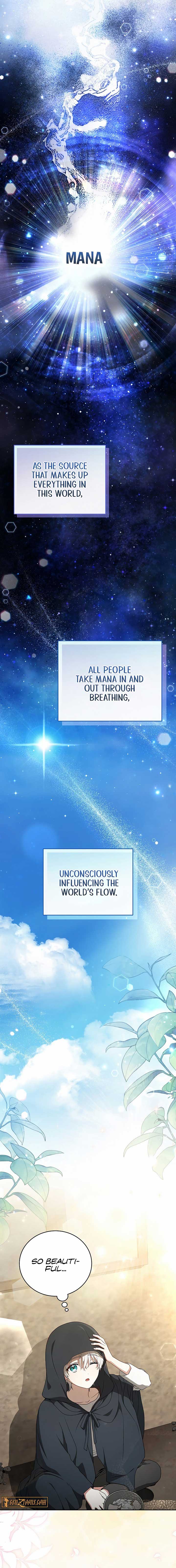 The Concept-Grasping Magical Genius Chapter 2 Image 5
