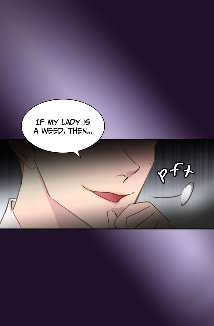 The Lady’s Law of Survival Chapter 3 Image 11