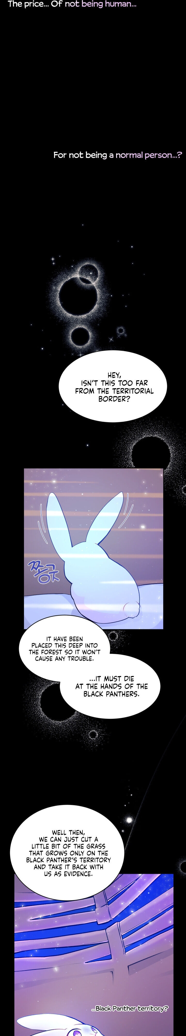 The Symbiotic Relationship Between the Rabbit and the Black Panther Chapter 1 Image 6