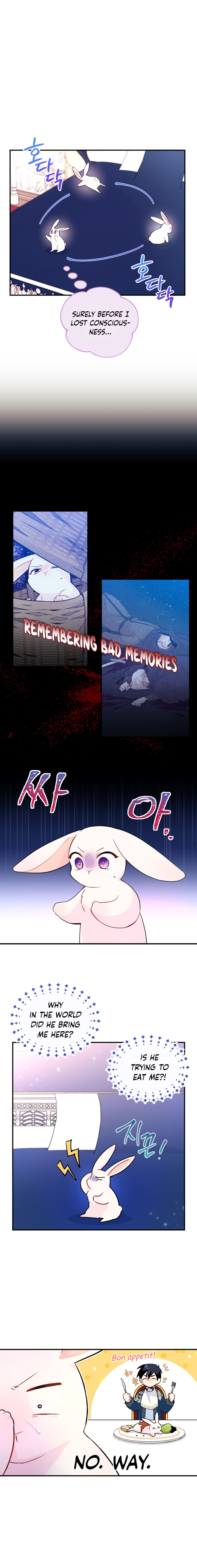 The Symbiotic Relationship Between the Rabbit and the Black Panther Chapter 2 Image 3