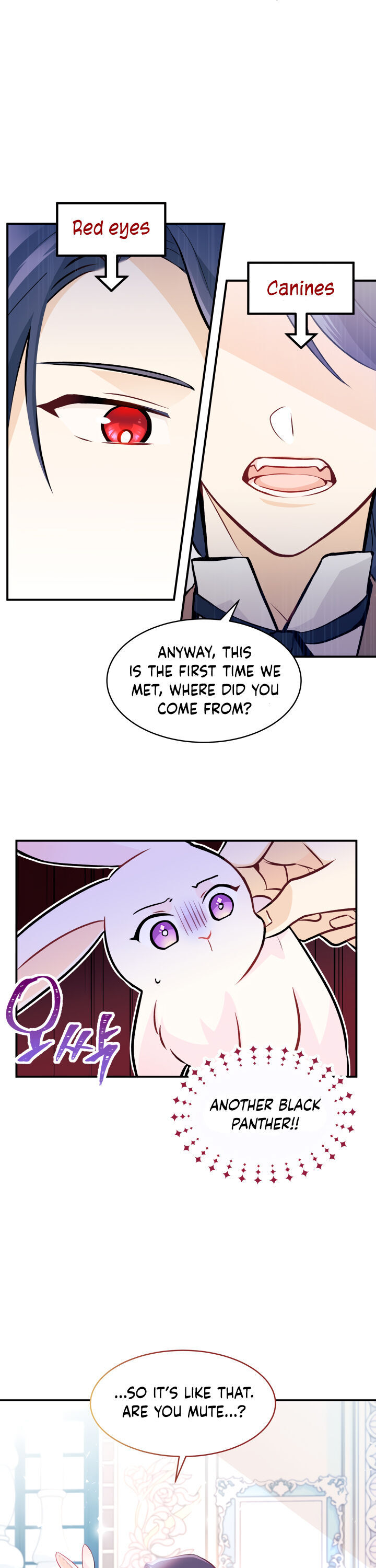 The Symbiotic Relationship Between the Rabbit and the Black Panther Chapter 2 Image 8