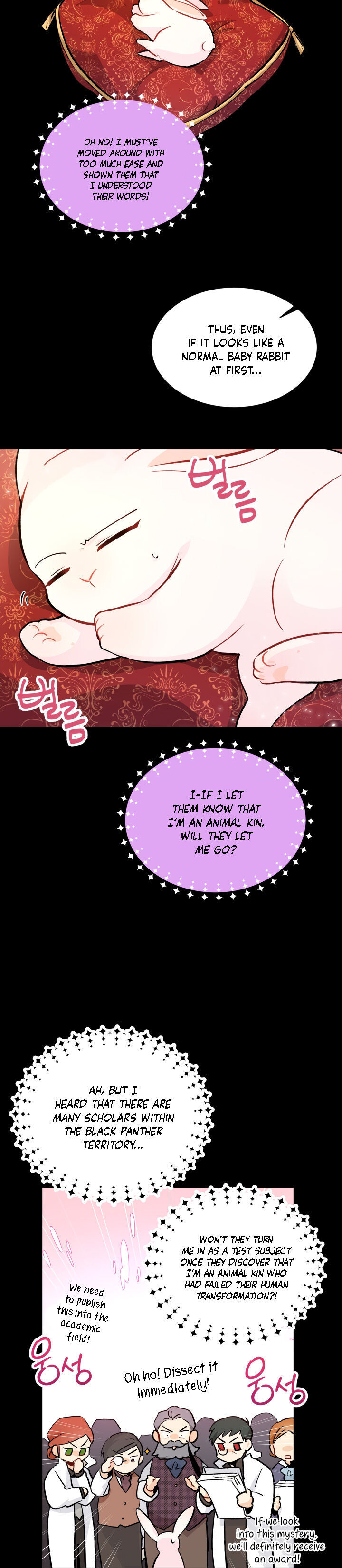 The Symbiotic Relationship Between the Rabbit and the Black Panther Chapter 2 Image 14
