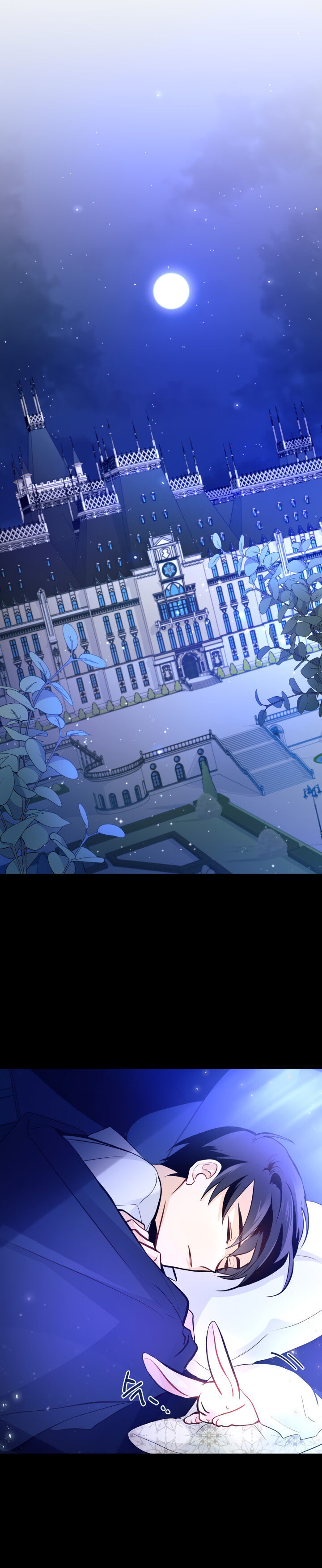 The Symbiotic Relationship Between the Rabbit and the Black Panther Chapter 2 Image 25