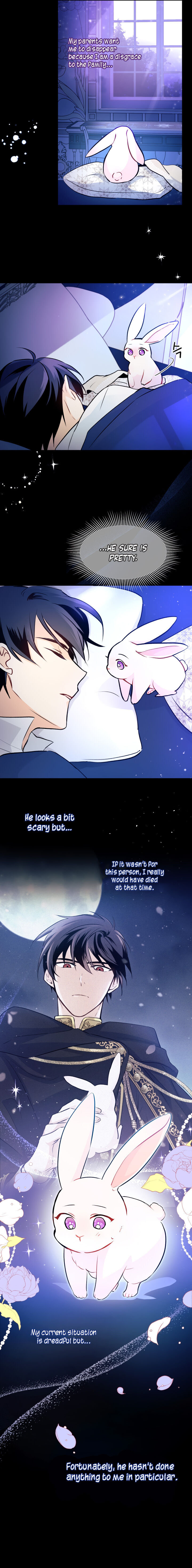 The Symbiotic Relationship Between the Rabbit and the Black Panther Chapter 2 Image 27