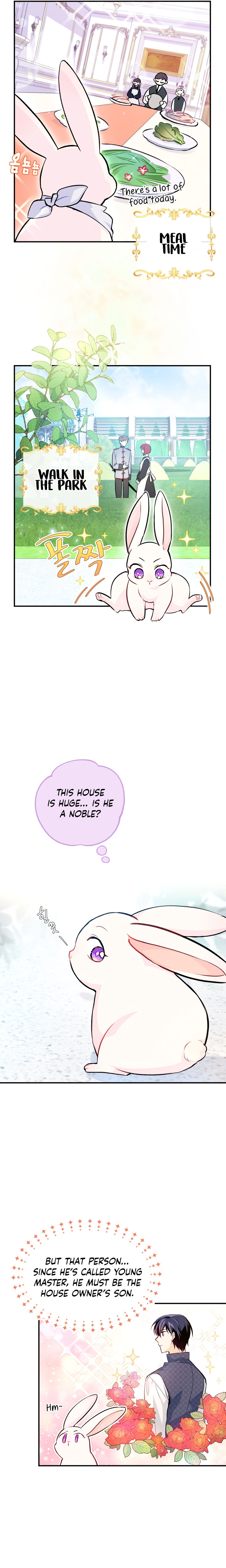 The Symbiotic Relationship Between the Rabbit and the Black Panther Chapter 3 Image 12