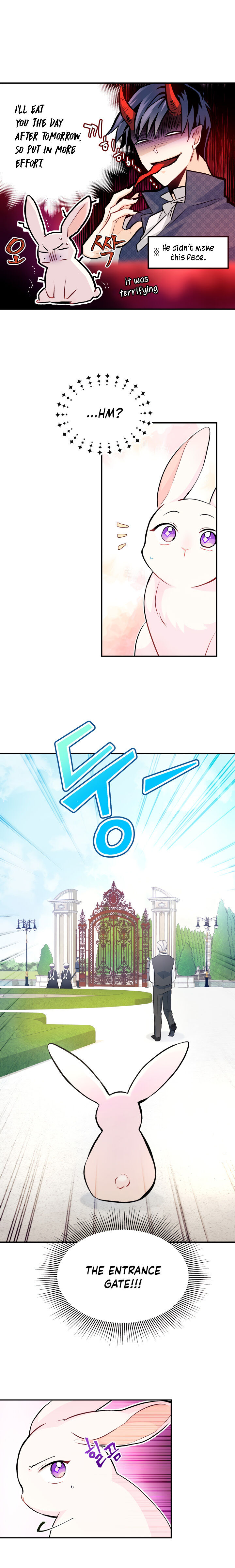 The Symbiotic Relationship Between the Rabbit and the Black Panther Chapter 3 Image 13