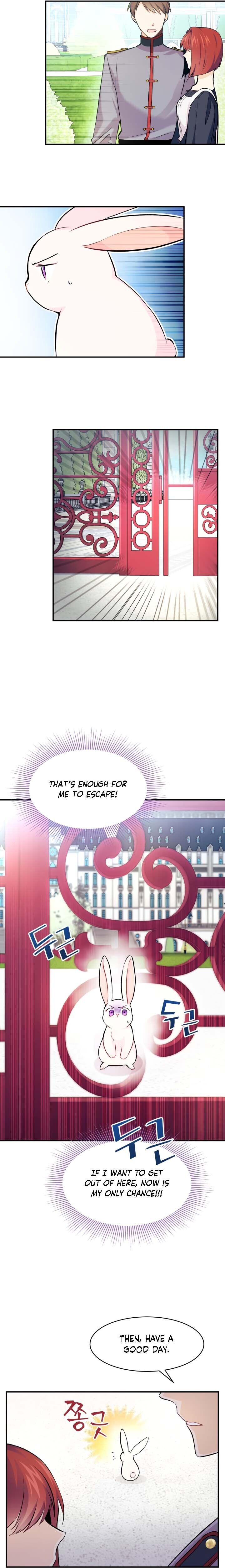 The Symbiotic Relationship Between the Rabbit and the Black Panther Chapter 3 Image 14